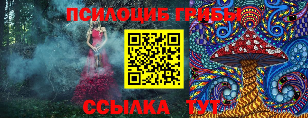Феодосия  Псилоцибиновые грибы прущие грибы  Вход с VPN  Галлюциногенные грибы мицелий 