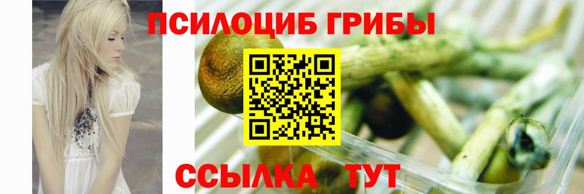 Псилоцибиновые грибы Cubensis Феодосия